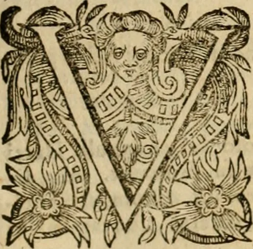An illustration from Pub. Virgilii Maronis Bucolicorum, eclogae X. Georgicorvm, libri IIII. Aeneidos, libri XII, et in ea, Mavri Servii Honorati grammatici commentarii, ex antiquiss, exemplaribus longè meliores et auctiores. ex bibliotheca Petri Danielis I.C., 1610, leaf 770