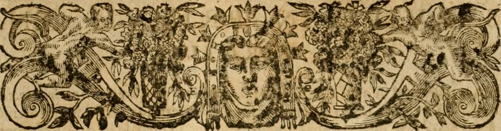 An illustration from Pub. Virgilii Maronis Bucolicorum, eclogae X. Georgicorvm, libri IIII. Aeneidos, libri XII, et in ea, Mavri Servii Honorati grammatici commentarii, ex antiquiss, exemplaribus longè meliores et auctiores. ex bibliotheca Petri Danielis I.C., 1610, leaf 788