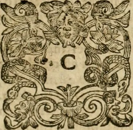 An illustration from Pub. Virgilii Maronis Bucolicorum, eclogae X. Georgicorvm, libri IIII. Aeneidos, libri XII, et in ea, Mavri Servii Honorati grammatici commentarii, ex antiquiss, exemplaribus longè meliores et auctiores. ex bibliotheca Petri Danielis I.C., 1610, leaf 788