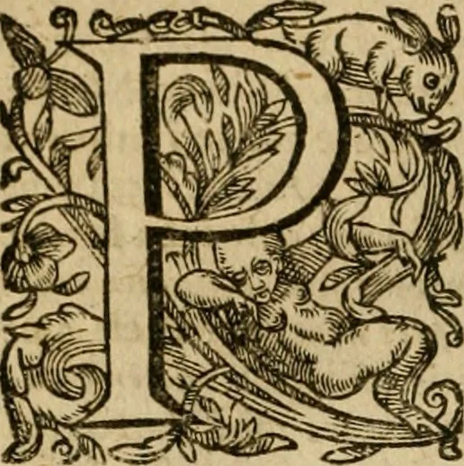 An illustration from Pub. Virgilii Maronis Bucolicorum, eclogae X. Georgicorvm, libri IIII. Aeneidos, libri XII, et in ea, Mavri Servii Honorati grammatici commentarii, ex antiquiss, exemplaribus longè meliores et auctiores. ex bibliotheca Petri Danielis I.C., 1610, leaf 79
