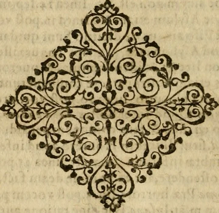An illustration from Pub. Virgilii Maronis Bucolicorum, eclogae X. Georgicorvm, libri IIII. Aeneidos, libri XII, et in ea, Mavri Servii Honorati grammatici commentarii, ex antiquiss, exemplaribus longè meliores et auctiores. ex bibliotheca Petri Danielis I.C., 1610, leaf 833