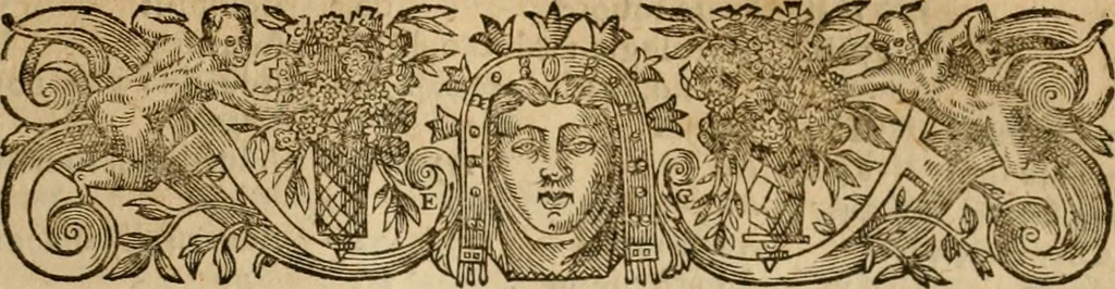An illustration from Pub. Virgilii Maronis Bucolicorum, eclogae X. Georgicorvm, libri IIII. Aeneidos, libri XII, et in ea, Mavri Servii Honorati grammatici commentarii, ex antiquiss, exemplaribus longè meliores et auctiores. ex bibliotheca Petri Danielis I.C., 1610, leaf 834