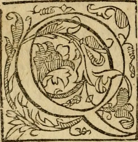 An illustration from Pub. Virgilii Maronis Bucolicorum, eclogae X. Georgicorvm, libri IIII. Aeneidos, libri XII, et in ea, Mavri Servii Honorati grammatici commentarii, ex antiquiss, exemplaribus longè meliores et auctiores. ex bibliotheca Petri Danielis I.C., 1610, leaf 97