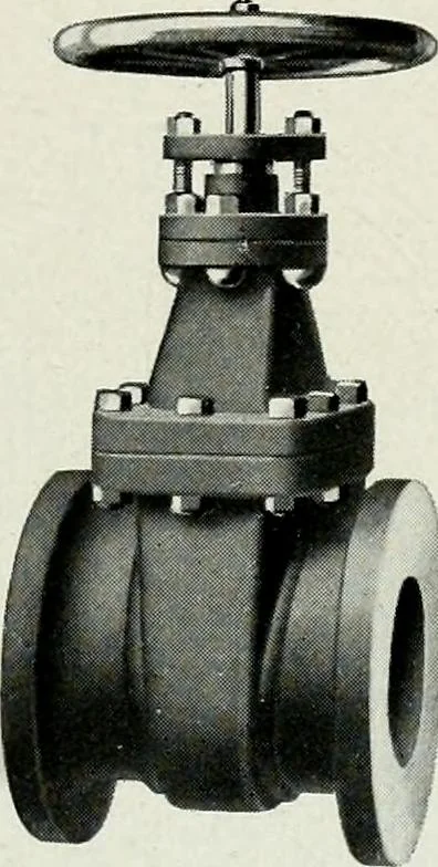 An illustration from Pumping machinery : for operation by any power : single and double acting triplex pumps for various services, deep well power working heads, artesian well cylinders, rotary and centrifugal pumps manufactured by the Deming Company, Salem, Ohio, U.S.A, 1915, leaf 149