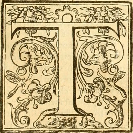 An illustration from Purchas his pilgrimage : or Relations of the world and the religions observed in all ages and places discovered, from the creation unto this present. In foure parts. This first containeth a theologicall and geographical historie of Asia, Africa, and America, with the ilands adiacent. Declaring the ancient religions before the floud ... With briefe descriptions of the countries, nations, states, discoveries ..., 1614, leaf 854
