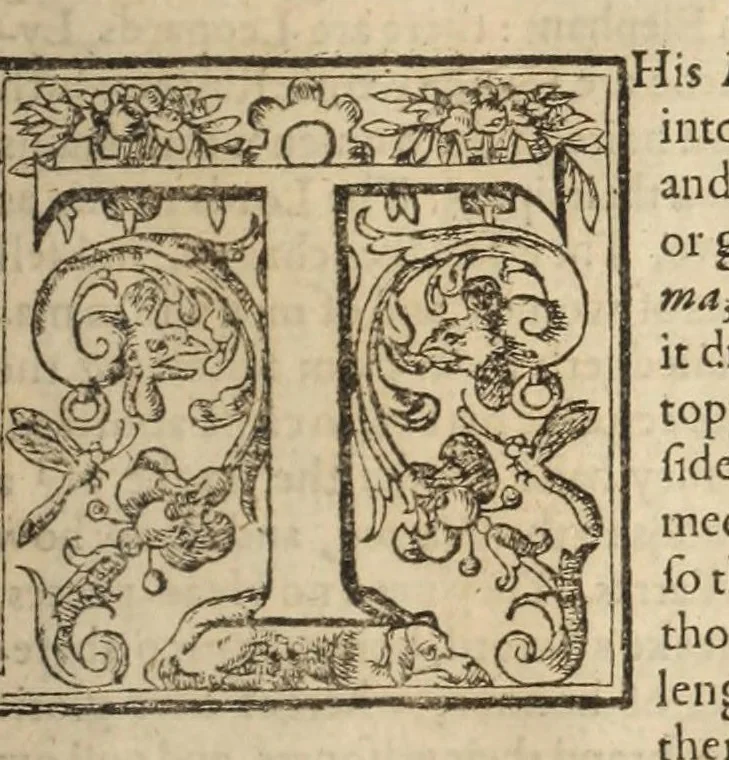 An illustration from Purchas his pilgrimage, or, Relations of the world and the religions observed in all ages and places discouered, from the creation vnto this present : in foure partes : this first containeth a theologicall and geographicall historie of Asia, Africa, and America, with the ilands adiacent : declaring the ancient religions before the floud, the heathnish, Jewish, and Saracenicall in all ages since ... with briefe descriptions of the countries, nations, states, discoueries, priuate and publike customes, and the most remarkable rarities of nature, or humane industrie, in the same, 1613, leaf 737