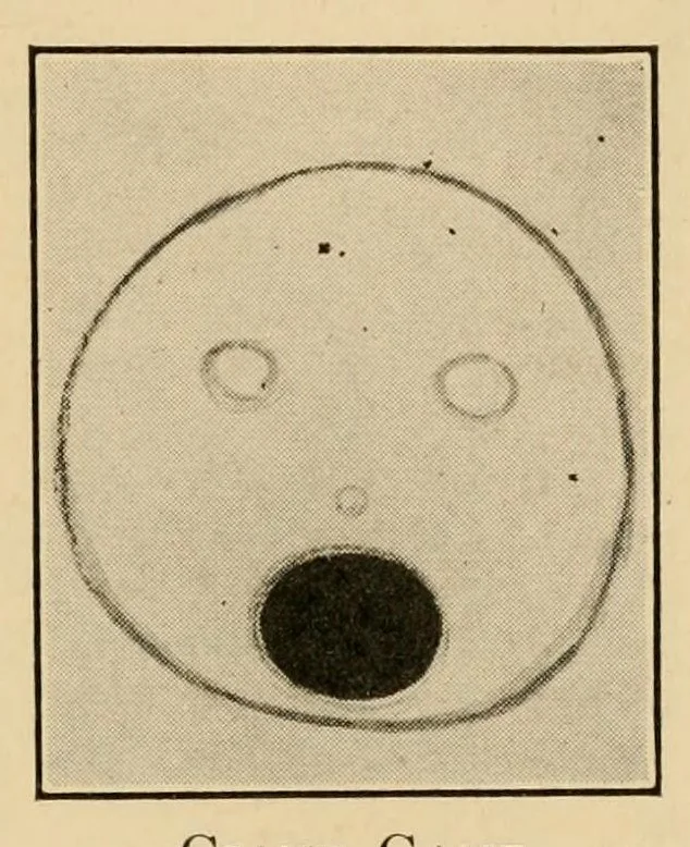 An illustration from Purposeful handwork, 1922, leaf 61