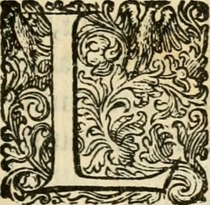 An illustration from Puteolana historia, 1604, leaf 102