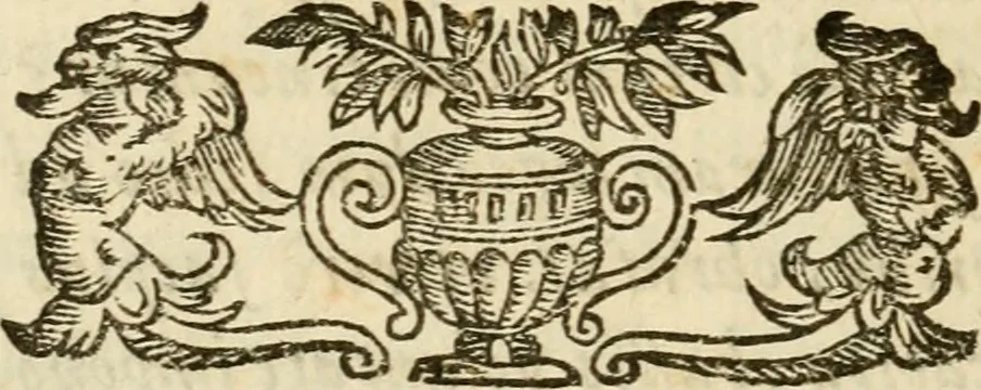 An illustration from Puteolana historia, 1604, leaf 11