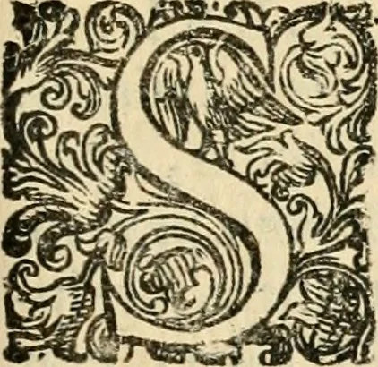 An illustration from Puteolana historia, 1604, leaf 126