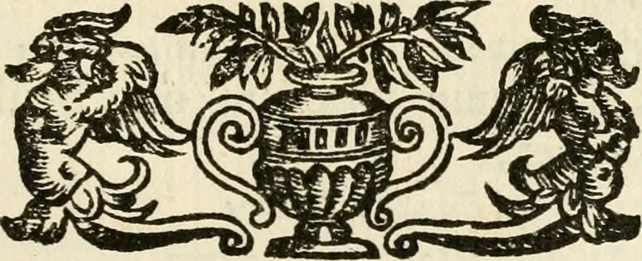 An illustration from Puteolana historia, 1604, leaf 140