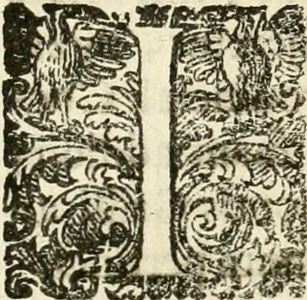 An illustration from Puteolana historia, 1604, leaf 141