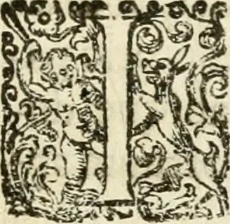 An illustration from Puteolana historia, 1604, leaf 146