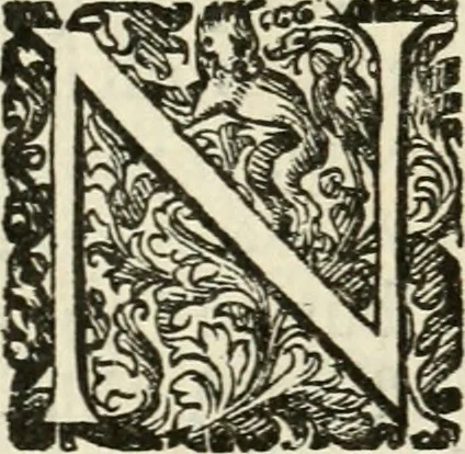 An illustration from Puteolana historia, 1604, leaf 157