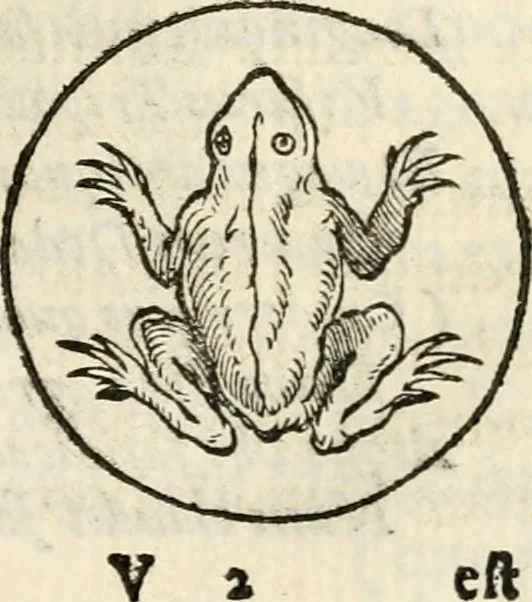 An illustration from Puteolana historia, 1604, leaf 174