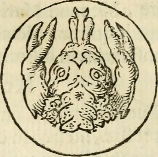 An illustration from Puteolana historia, 1604, leaf 175