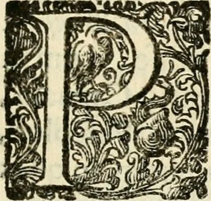 An illustration from Puteolana historia, 1604, leaf 176