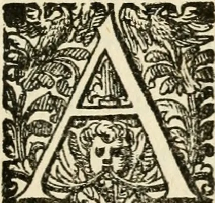 An illustration from Puteolana historia, 1604, leaf 178