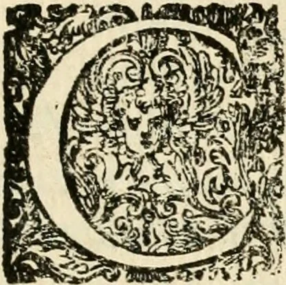 An illustration from Puteolana historia, 1604, leaf 192