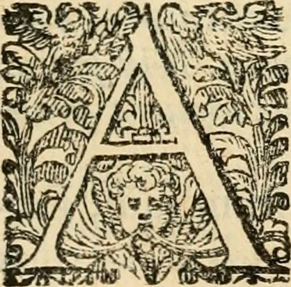 An illustration from Puteolana historia, 1604, leaf 20
