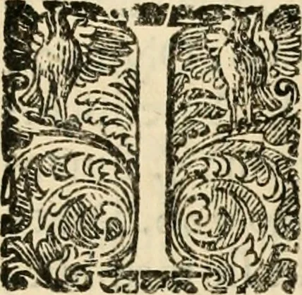 An illustration from Puteolana historia, 1604, leaf 204