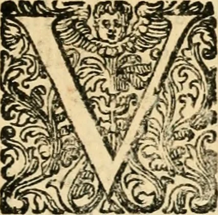 An illustration from Puteolana historia, 1604, leaf 206