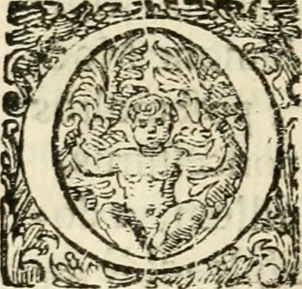 An illustration from Puteolana historia, 1604, leaf 221
