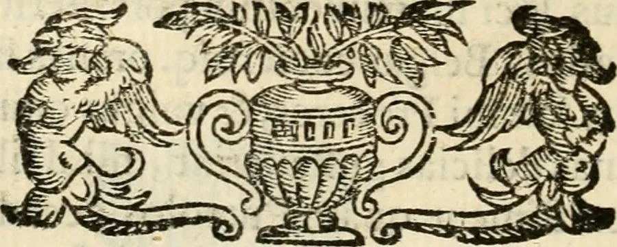 An illustration from Puteolana historia, 1604, leaf 225