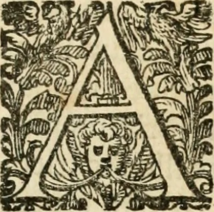 An illustration from Puteolana historia, 1604, leaf 232