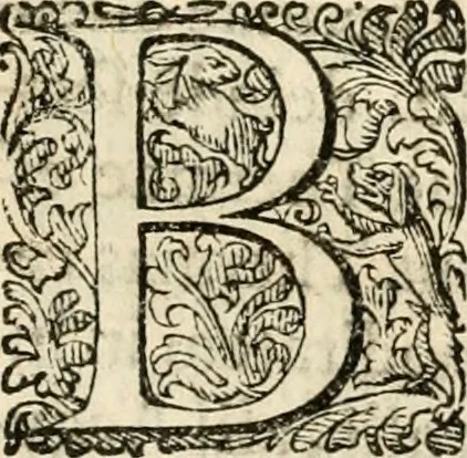 An illustration from Puteolana historia, 1604, leaf 234