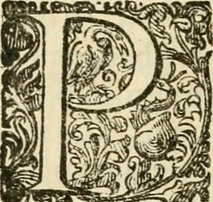 An illustration from Puteolana historia, 1604, leaf 252