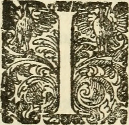 An illustration from Puteolana historia, 1604, leaf 255