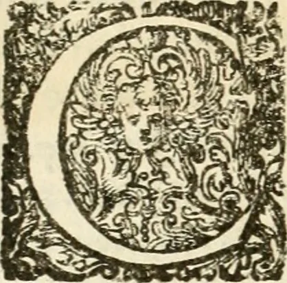 An illustration from Puteolana historia, 1604, leaf 263