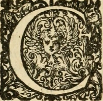 An illustration from Puteolana historia, 1604, leaf 33