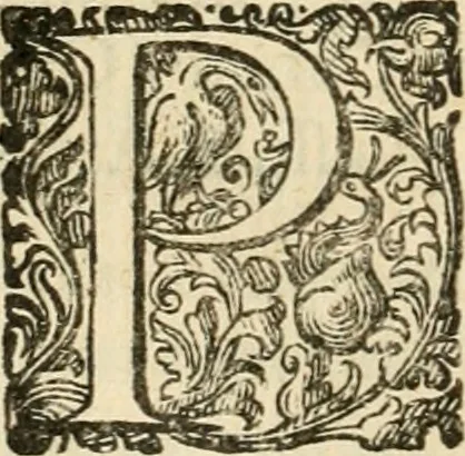 An illustration from Puteolana historia, 1604, leaf 33