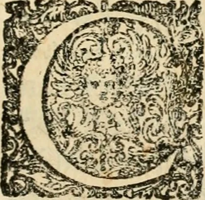 An illustration from Puteolana historia, 1604, leaf 36