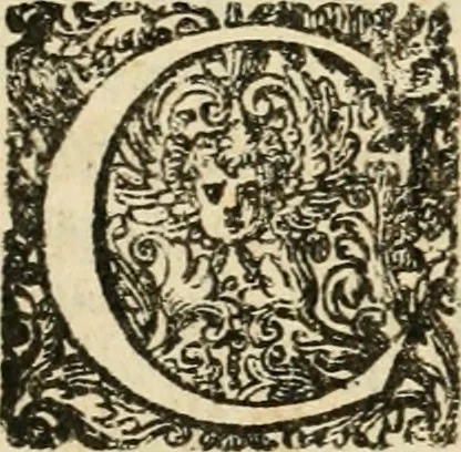 An illustration from Puteolana historia, 1604, leaf 59