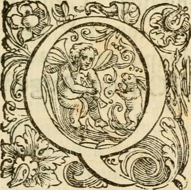 An illustration from Puteolana historia, 1604, leaf 6