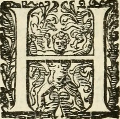 An illustration from Puteolana historia, 1604, leaf 65