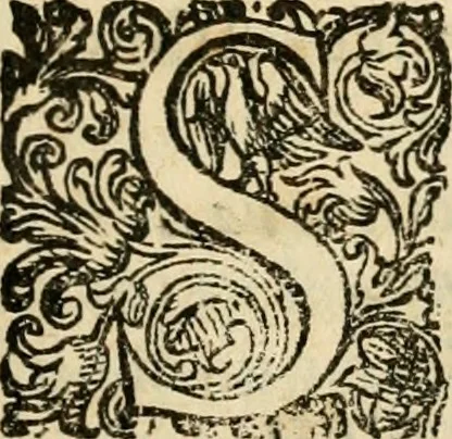 An illustration from Puteolana historia, 1604, leaf 68