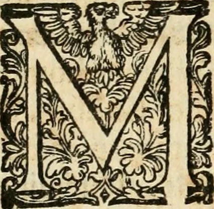 An illustration from Puteolana historia, 1604, leaf 85