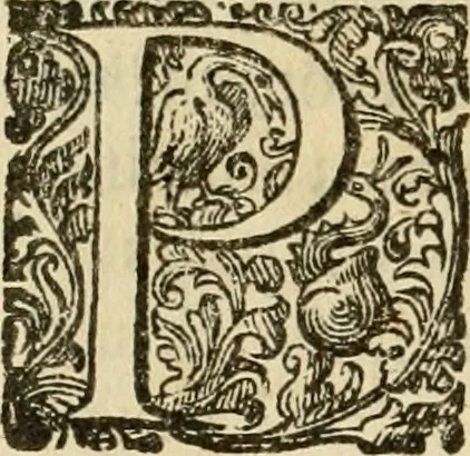 An illustration from Puteolana historia, 1604, leaf 9