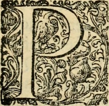 An illustration from Puteolana historia, 1604, leaf 92