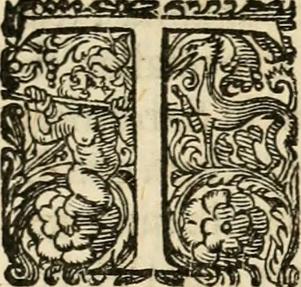 An illustration from Puteolana historia, 1604, leaf 97