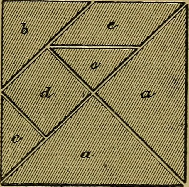 An illustration from Puzzles old and new, 1893, leaf 100