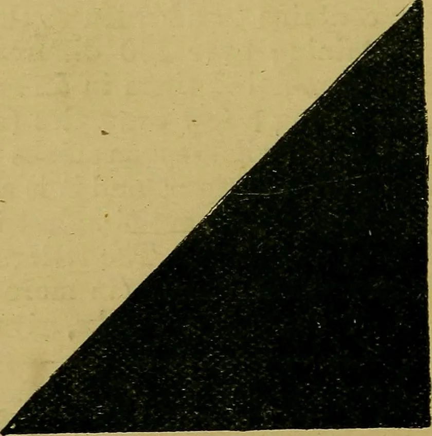 An illustration from Puzzles old and new, 1893, leaf 101