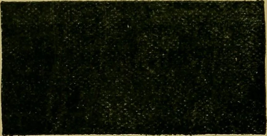 An illustration from Puzzles old and new, 1893, leaf 101