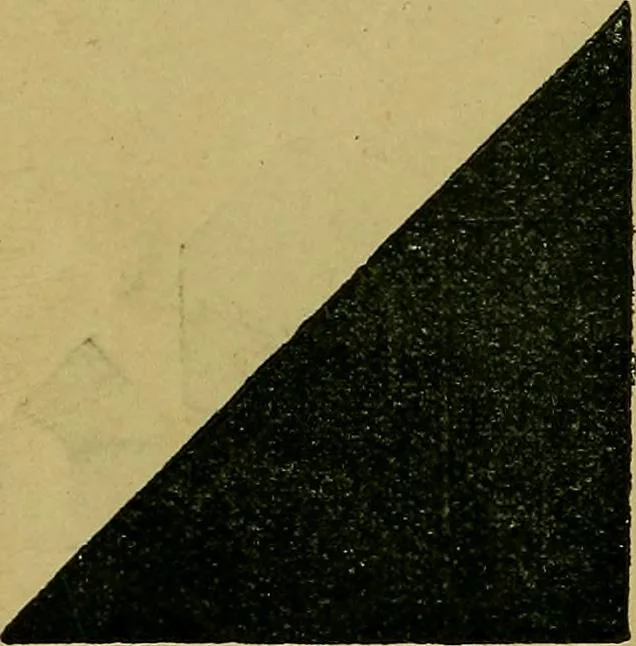 An illustration from Puzzles old and new, 1893, leaf 103