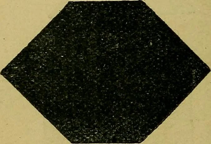 An illustration from Puzzles old and new, 1893, leaf 105