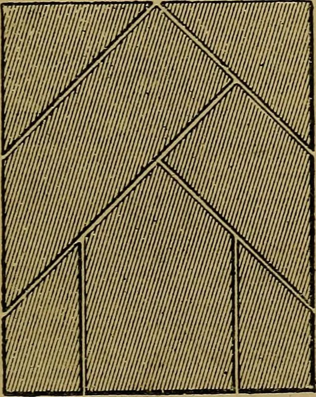An illustration from Puzzles old and new, 1893, leaf 106